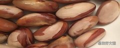 菠萝蜜核可以和鸡肉一起炖吗 菠萝蜜核不能和什么东西一起吃