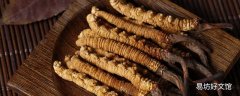 冬虫夏草吃法及用量 冬虫夏草要每天吃吗