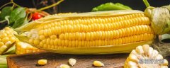 玉米不好消化吗 玉米的功效与作用