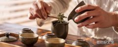 罗布麻茶的功效与作用 罗布麻茶可以天天喝吗