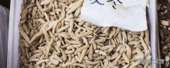 麦冬治疗失眠有效果吗 麦冬和什么一起治失眠
