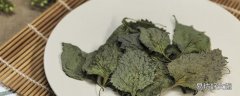 紫苏叶的功效与作用 紫苏叶能生吃吗