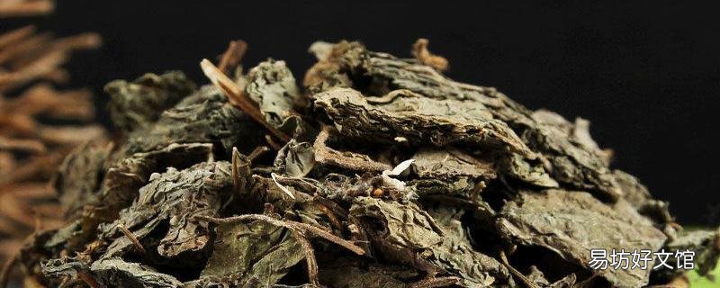 干紫苏叶的功效与作用 干紫苏叶和新鲜紫苏叶哪个好