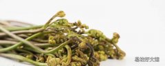 蕨菜焯水要多久 蕨菜焯水后可以冷冻吗