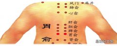 胃俞的准确位置图 胃俞的作用与功效