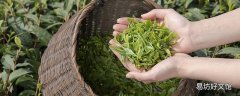 绿茶和菊花能一起泡吗 绿茶为什么不能和枸杞子一起泡茶