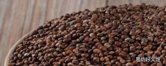 紫苏子的功效与作用及禁忌 紫苏子可以生吃吗