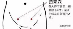 归来的准确位置图片 归来的功效与作用是什么
