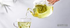 枸杞叶茶的功效与作用 枸杞叶茶什么人不能喝