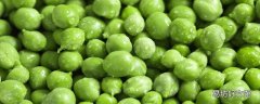 豌豆功效作用与禁忌 豌豆不能和什么食物一起吃