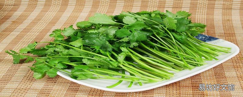 香菜有毒吗 香菜可以泡水喝吗