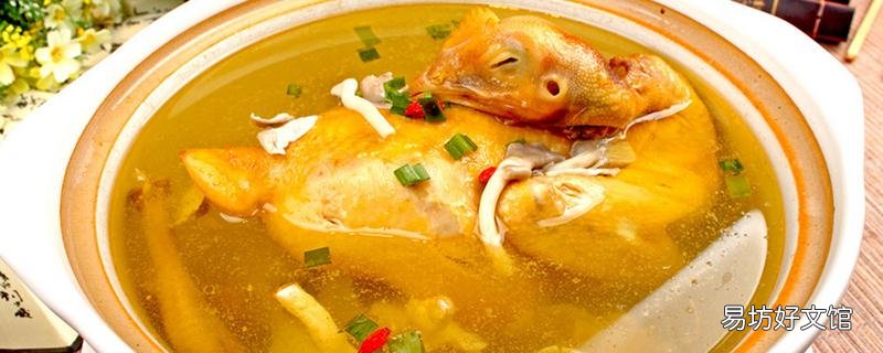 姜母鸡的功效作用 姜母鸡什么人不适合吃