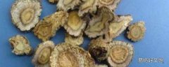 苦参根的功效与作用 苦参根的食用方式和注意事项