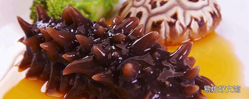 海参煲鸡汤有什么功效 海参煲鸡汤还可以加什么