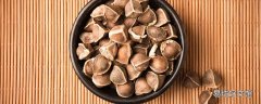 辣木籽可以泡水喝吗 辣木籽泡水喝的功效作用