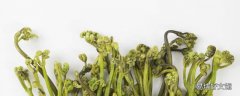 干蕨菜放两年还能吃吗 干蕨菜放什么泡跟新鲜的一样