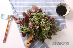 红苋菜男人可以吃吗 红苋菜什么人不能吃