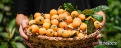 枇杷膏泡水还是直接喝 枇杷膏可以冲开水喝吗
