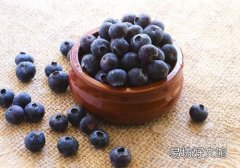 蓝莓儿童吃多少合适