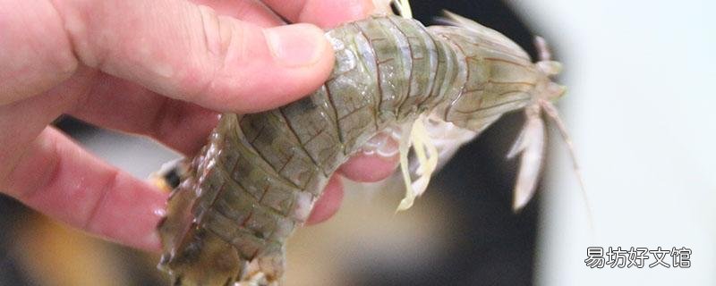 皮皮虾冷冻后能吃吗 冷冻皮皮虾的做法