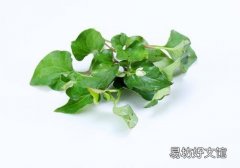 鱼腥草煮冰糖能止咳吗 鱼腥草煮冰糖的功效