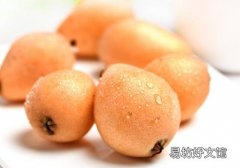 枇杷为什么要包起来 枇杷要怎么保存