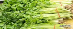 芹菜怎么焯水脆又绿又嫩焯 芹菜怎么能减少维生素流失