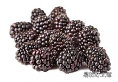 一岁宝宝可以吃桑葚吗 一岁宝宝吃桑葚有什么好处