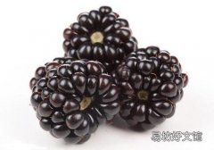 桑葚吃多了怎么办 一天吃多少最好