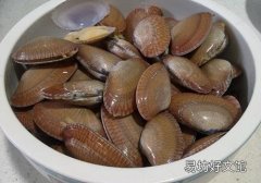 花甲快速去沙的方法 9种方式教你去除花甲中的沙子