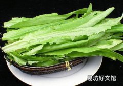 莴笋的叶子是油麦菜吗 莴笋叶和油麦菜的区别