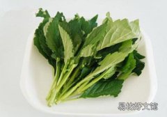 孕妇能吃苦菜吗 孕妇吃苦菜有什么好处