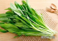 莴笋和油麦菜的区别