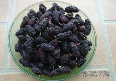 吃桑葚牙齿变黑怎么办 吃桑葚牙齿变黑是中毒吗