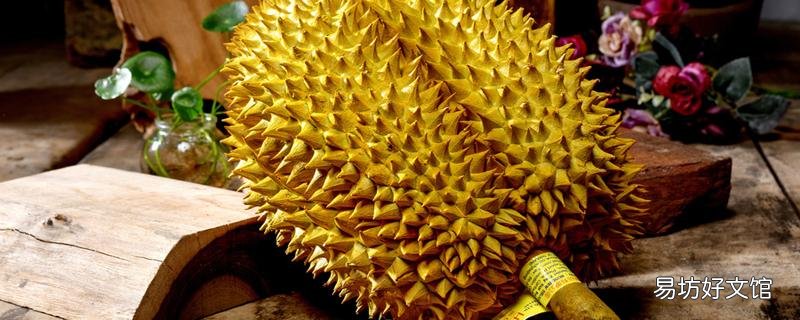 液氮榴莲和冷冻榴莲的区别 液氮榴莲放冷藏还是冷冻