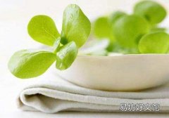 马齿苋和绿豆能一起吃吗 马齿苋和绿豆一起吃有什么好处