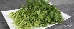 香菜可以冷冻保存吗 香菜冷冻后化开发黑能吃吗