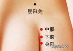痔疮拔罐拔哪个位置 痔疮拔罐的位置图图解