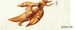 葛根茶和葛根粉哪个解酒效果好 葛根泡水喝对胃有伤害吗