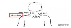 肩中俞的准确位置图 肩中俞的定位及功效