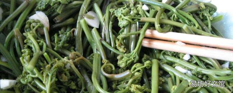 蕨菜是致癌物吗 蕨菜怎么吃不致癌