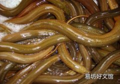 黄鳝癌症患者可以吃吗 肺癌患者能吃黄鳝吗