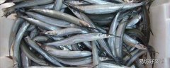 針魚的功效與作用 針魚的營養價值