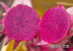 吃火龙果可以降血压吗 吃火龙果降血压的原理
