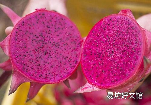 吃火龍果可以降血壓嗎 吃火龍果降血壓的原理