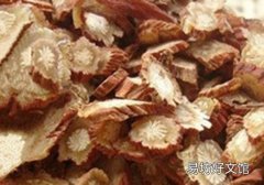 丹参能和菊花一起喝吗 丹参菊花茶的功效