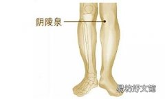 阴陵泉按压痛说明什么 阴陵泉的功效与作用