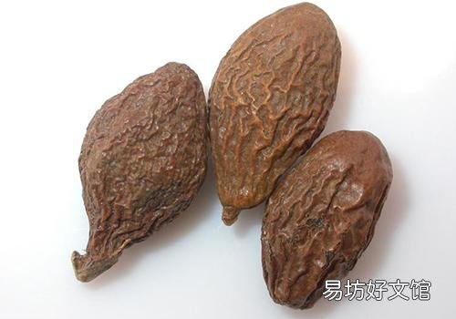 胖大海治咳嗽吗 感冒咳嗽可以喝胖大海吗