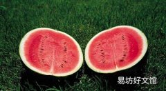 西瓜吃多了会流产吗 孕妇能吃西瓜吗