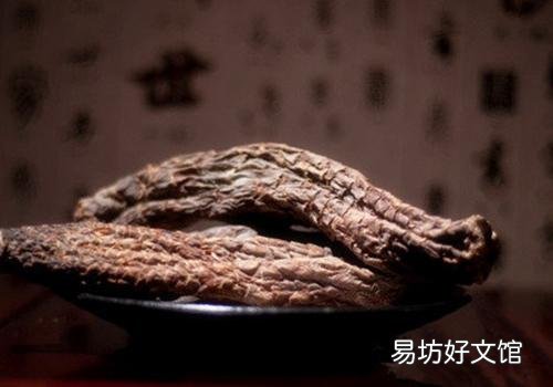 肉蓯蓉泡酒能多放嗎 肉蓯蓉泡酒放多少克